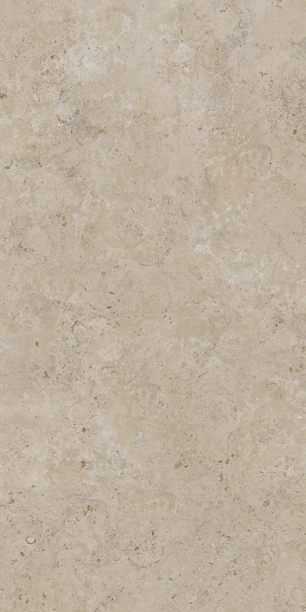 Керамогранит DD590500R Про Лаймстоун АТ бежевый темный натуральный обрезной R10 119,5х238,5