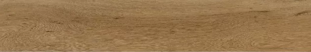 Керамогранит ENWD1054SR20120 Oakland Ginger Matt Relief 120x20x0.9