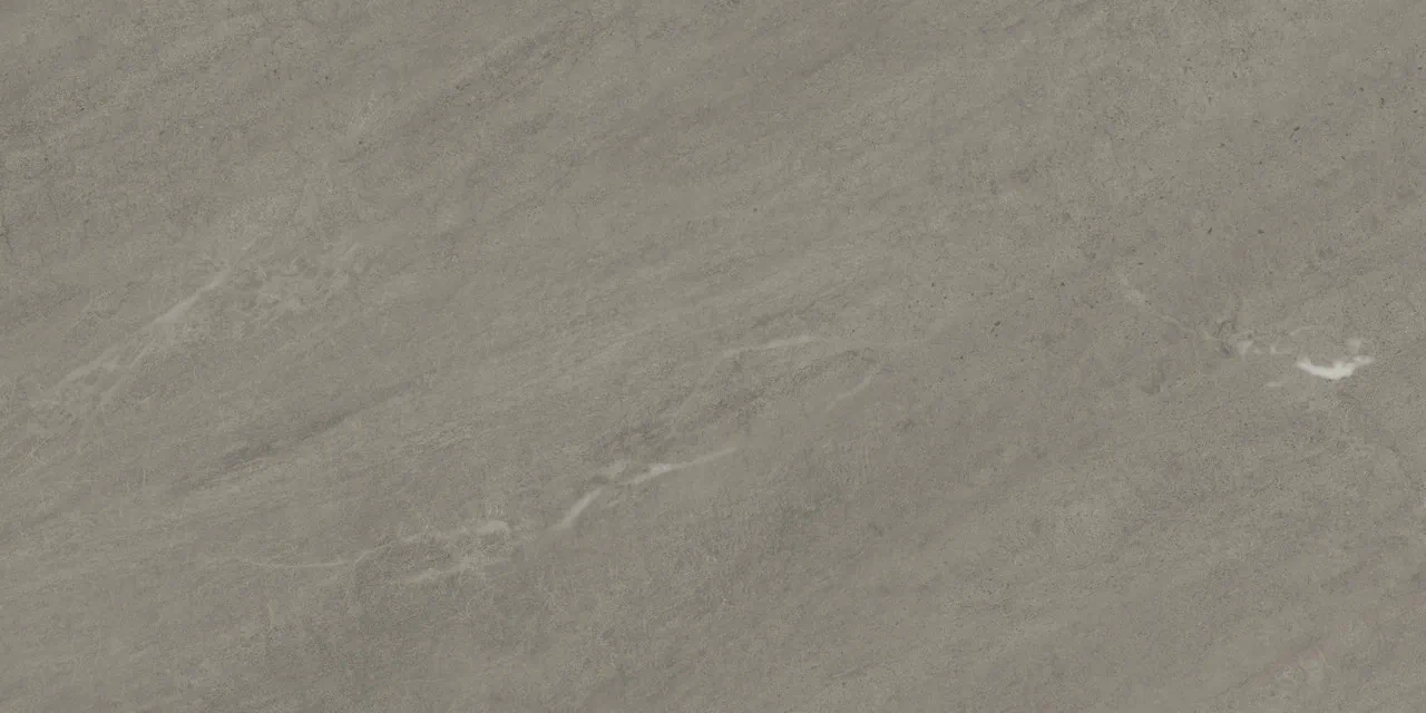 Керамогранит 610010005817 Forte dei Marmi Rock Venaria Grey Matt Rett 80x160