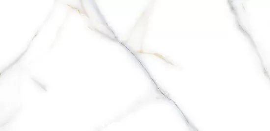 Керамогранит Venato Bianco PGVT 60x120