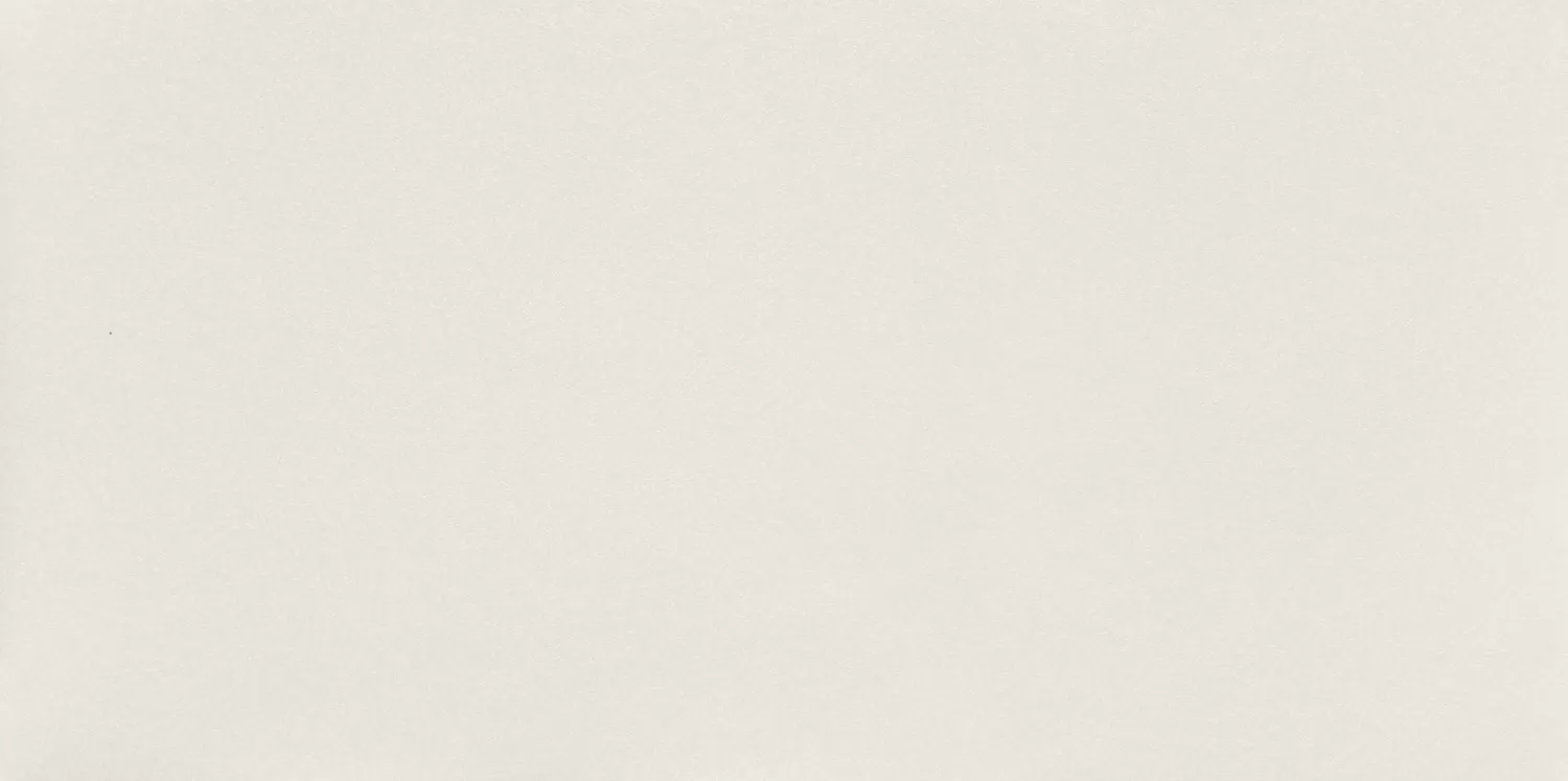 Плитка W- Reflection White 29.8x59.8