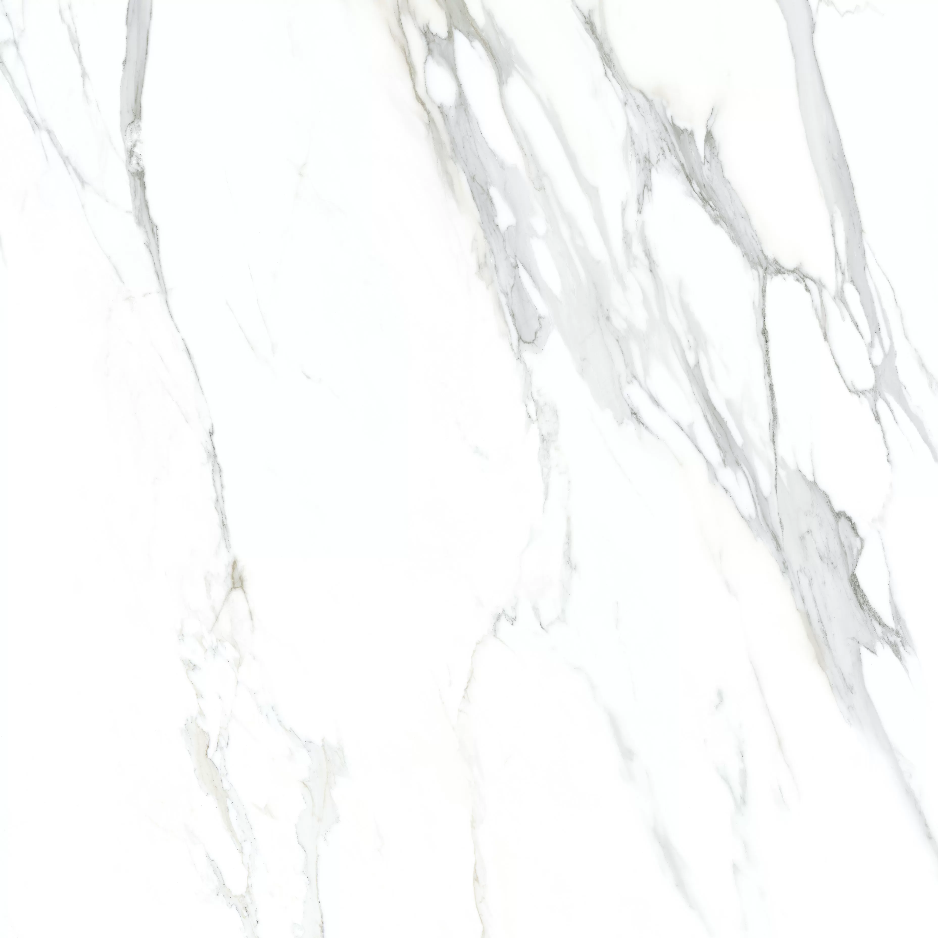 Керамогранит Arequipa White Polimat 120х120