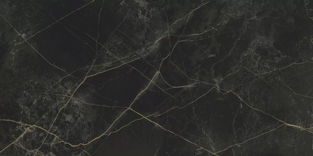 Керамогранит Granite SANDRA Black Olive / Гранит Сандра черно-оливковый LLR 120x60