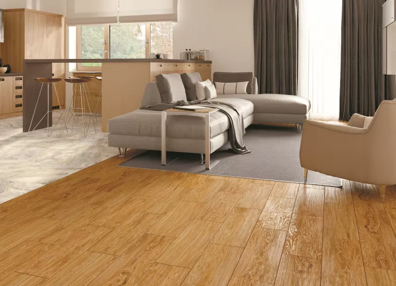 Керамогранит K-905/SR Canyon GREY SR 30х60