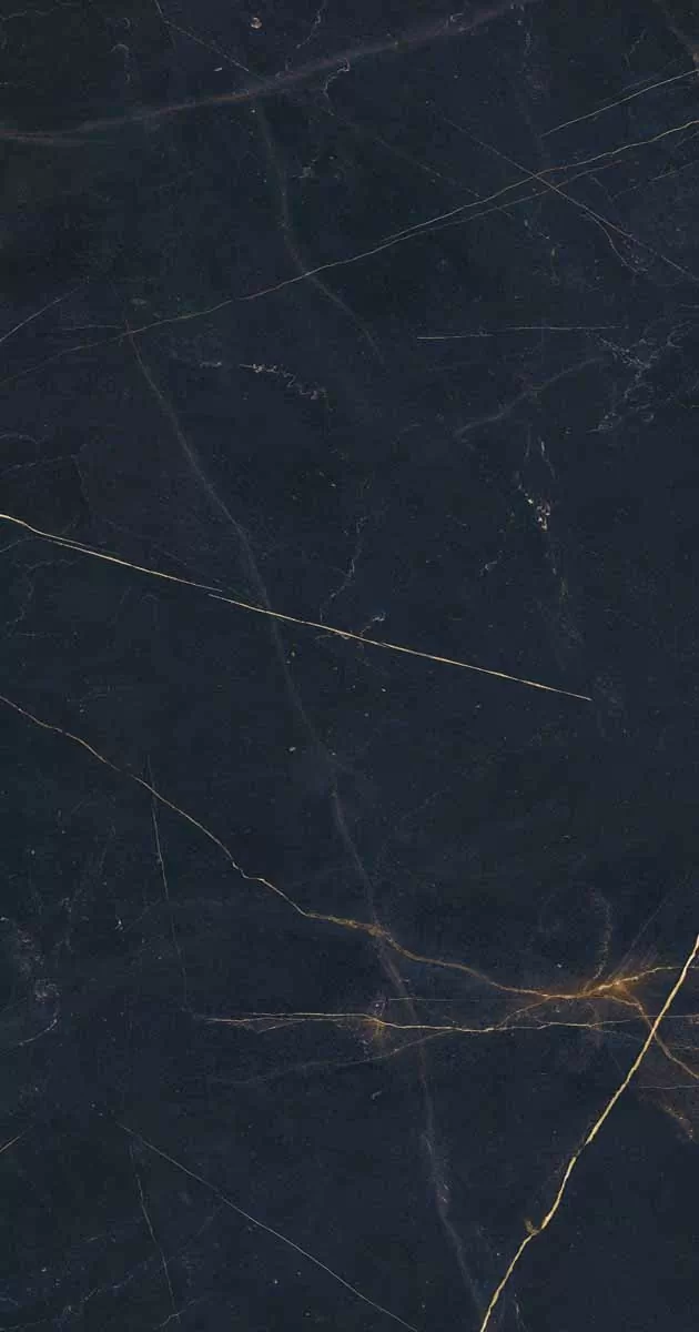 Керамогранит PF60011003 Precious Black Lux Ret 60x120