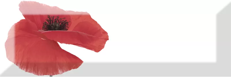 Плитка Decor Poppy 01 10X30