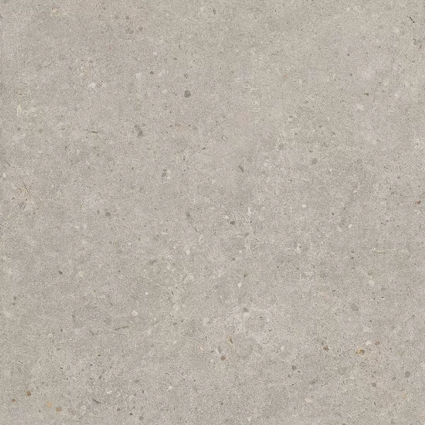 Керамогранит SG653720R Риккарди серый светлый матовый обрезной 60x60