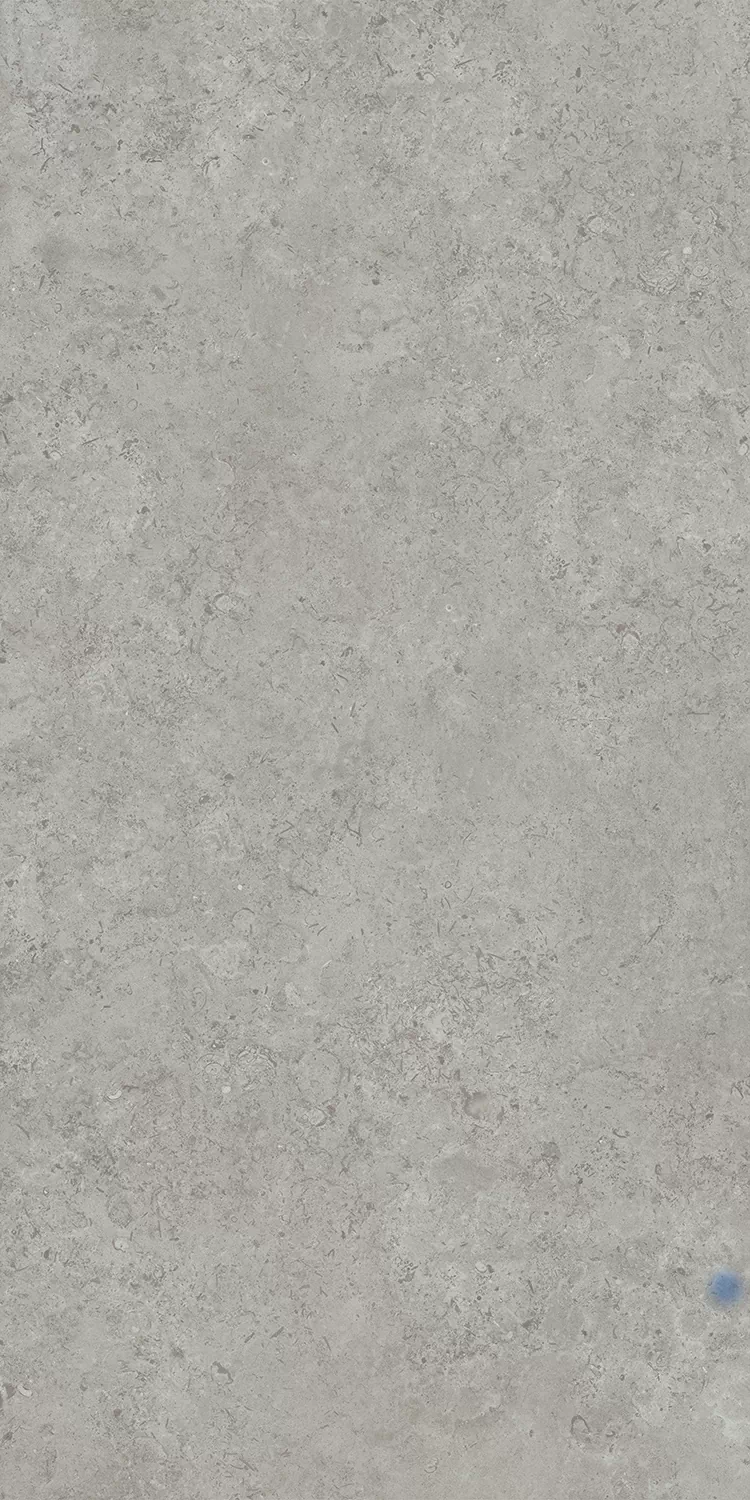 Керамогранит DD590600R Про Лаймстоун АТ серый натуральный обрезной R10 119,5х238,5