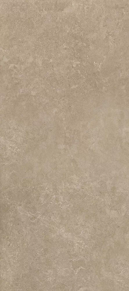 Керамогранит 11022 Shell BG 60х120