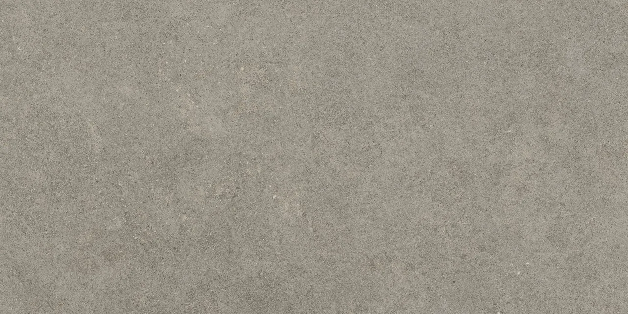 Керамогранит 610010005813 Forte dei Marmi Rock Lunar Grey Matt Rett 80x160