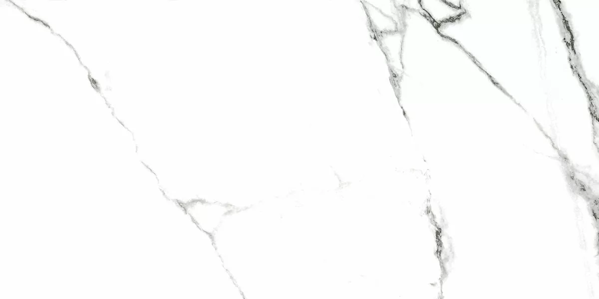 Керамогранит G390 Neiva White MR 60x120