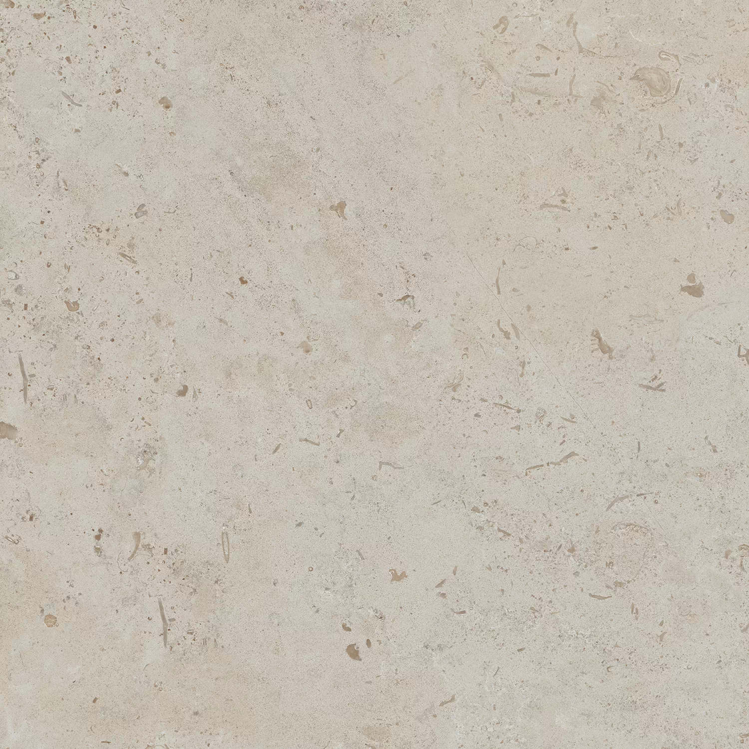 Керамогранит DD641120R Про Лаймстоун бежевый темный натуральный обрезной 60х60