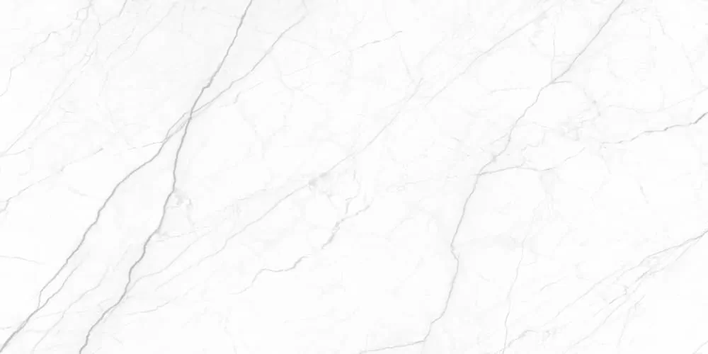 Керамогранит Royal Infinite White 120x60