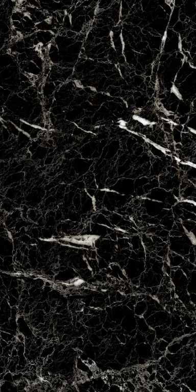 Керамогранит 964 Luminia Black 120x60
