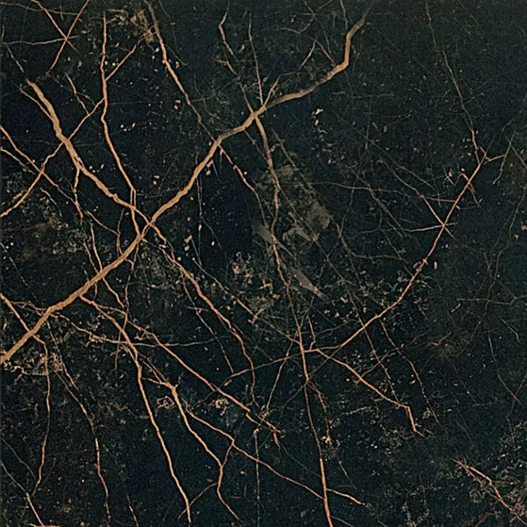 Керамогранит 240013 MARBLE NERO S.LAURENT RETTIFICATO LAPPATO 58,5x58,5