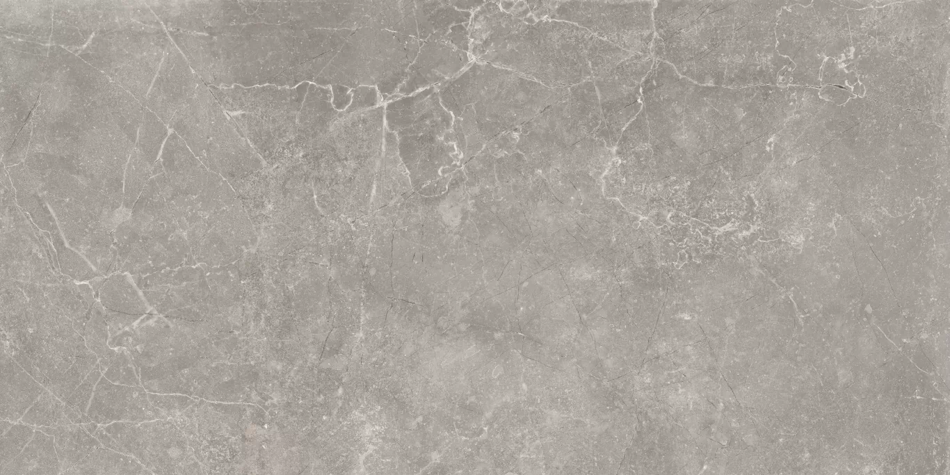 Керамогранит Concept Gray 60x120