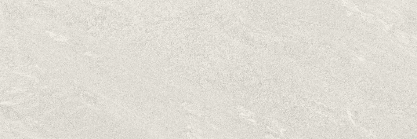 Плитка Nature Ash Rеct 40x120