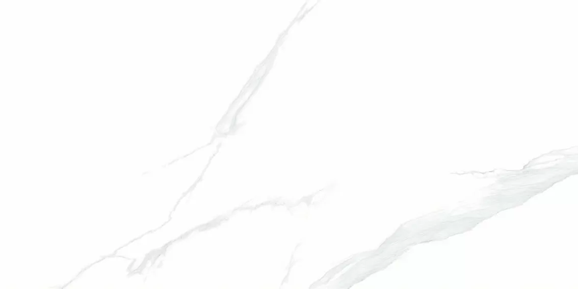 Керамогранит NTT9106P Statuario 60x120