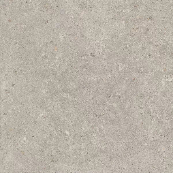 Керамогранит SG653720R Риккарди серый светлый матовый обрезной 60x60