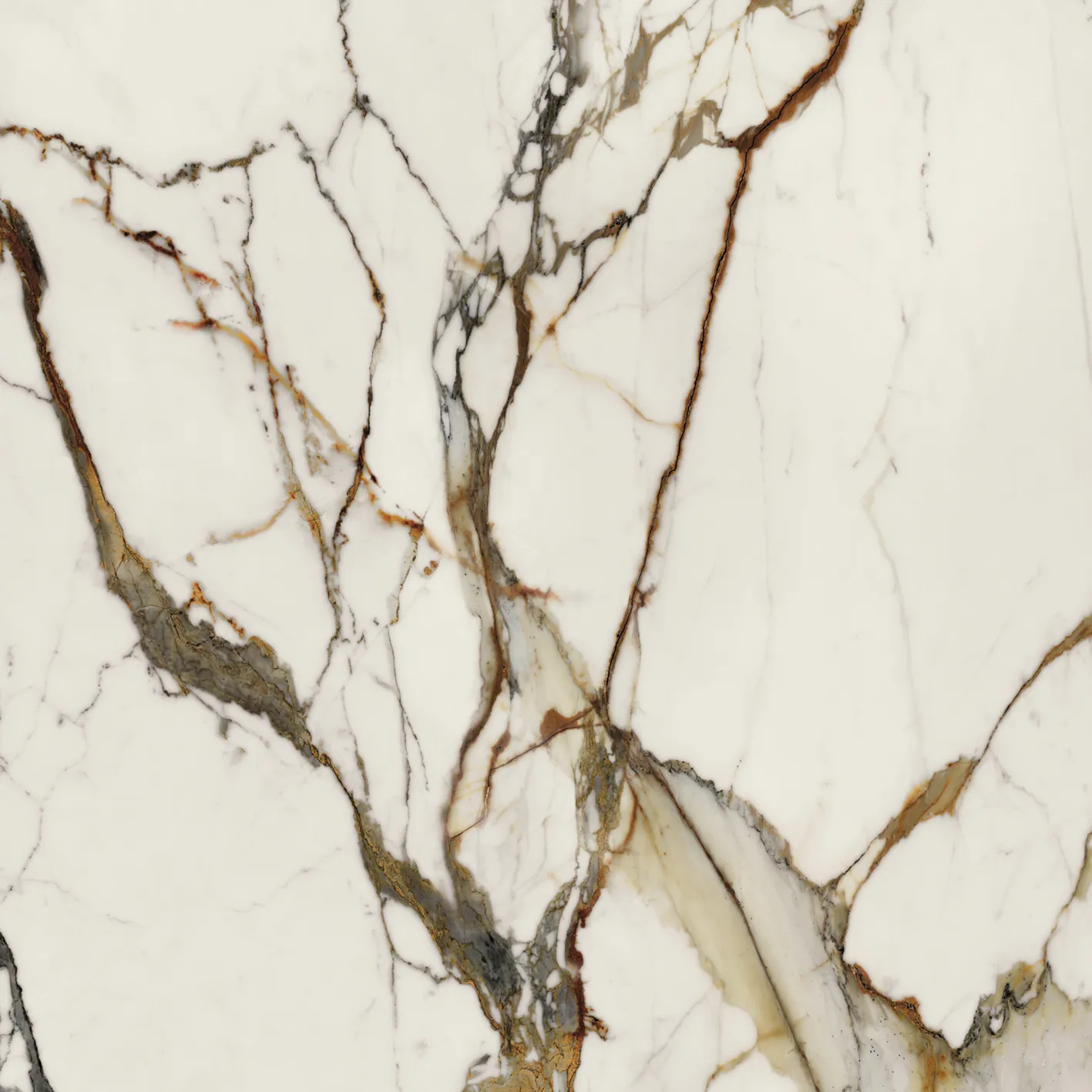 Керамогранит 100331160 Xlight Paonazzo Biondo Silk 120x120