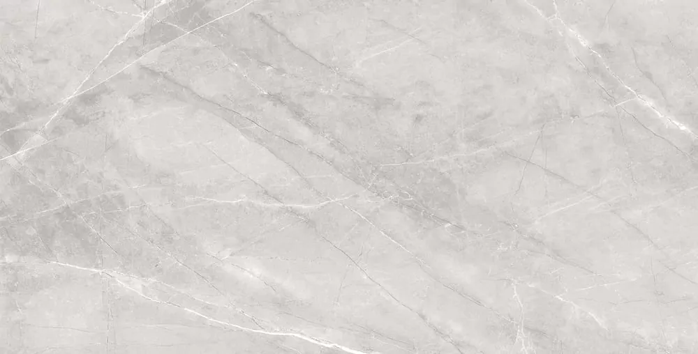 Керамогранит Silk Armani Silver Matt 60x120