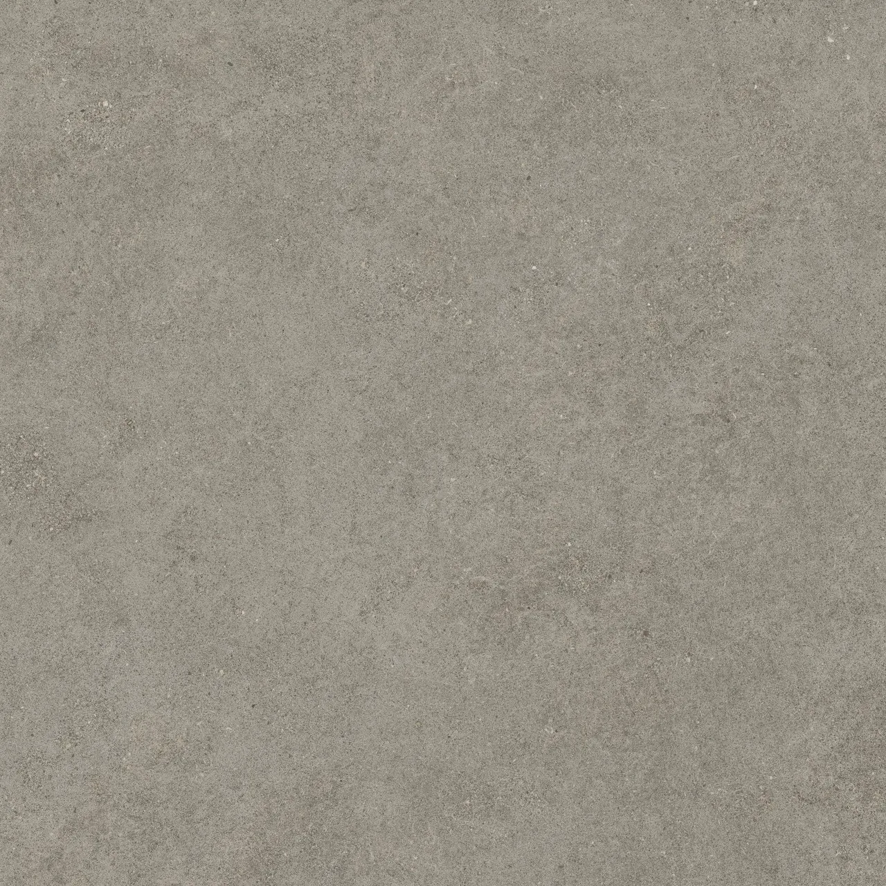 Керамогранит 600010002429 Forte dei Marmi Rock Lunar Grey Matt Rett 120x120