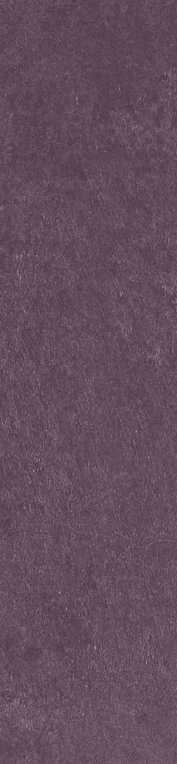 Керамогранит Scs Spectra Wine 5,8х25