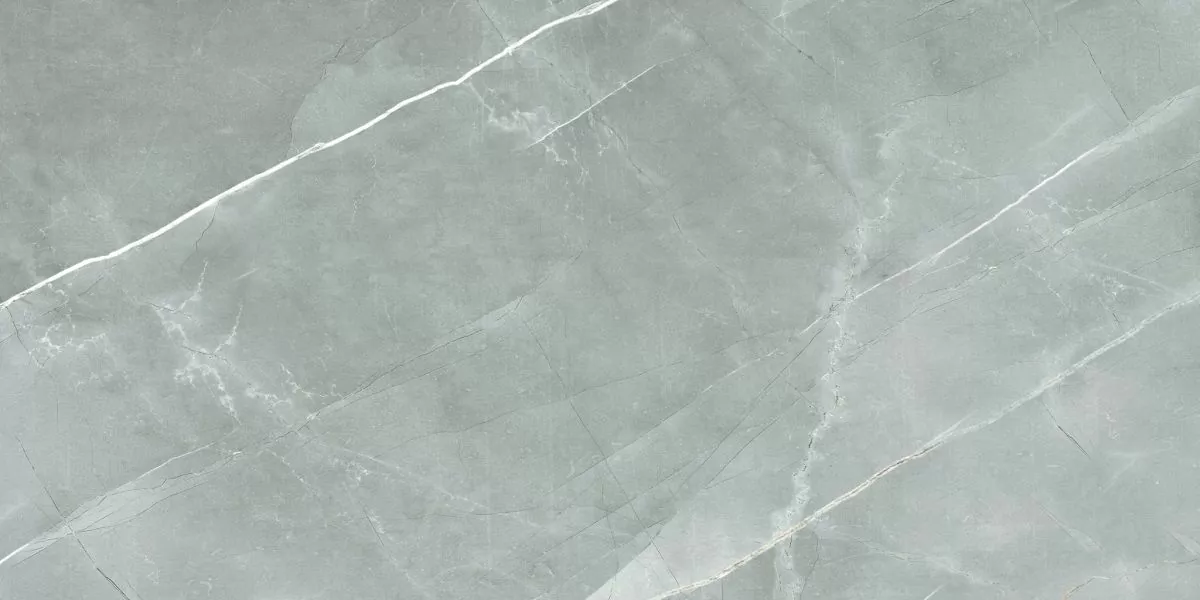 Керамогранит R_PR2019 William Grey Polished 60x120