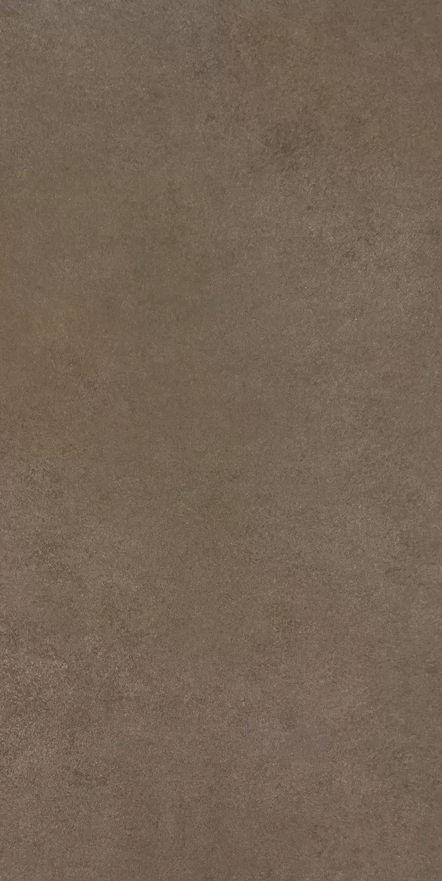 Керамогранит 780843 Easy Life Mushroom Matte Silk Ret 30x60