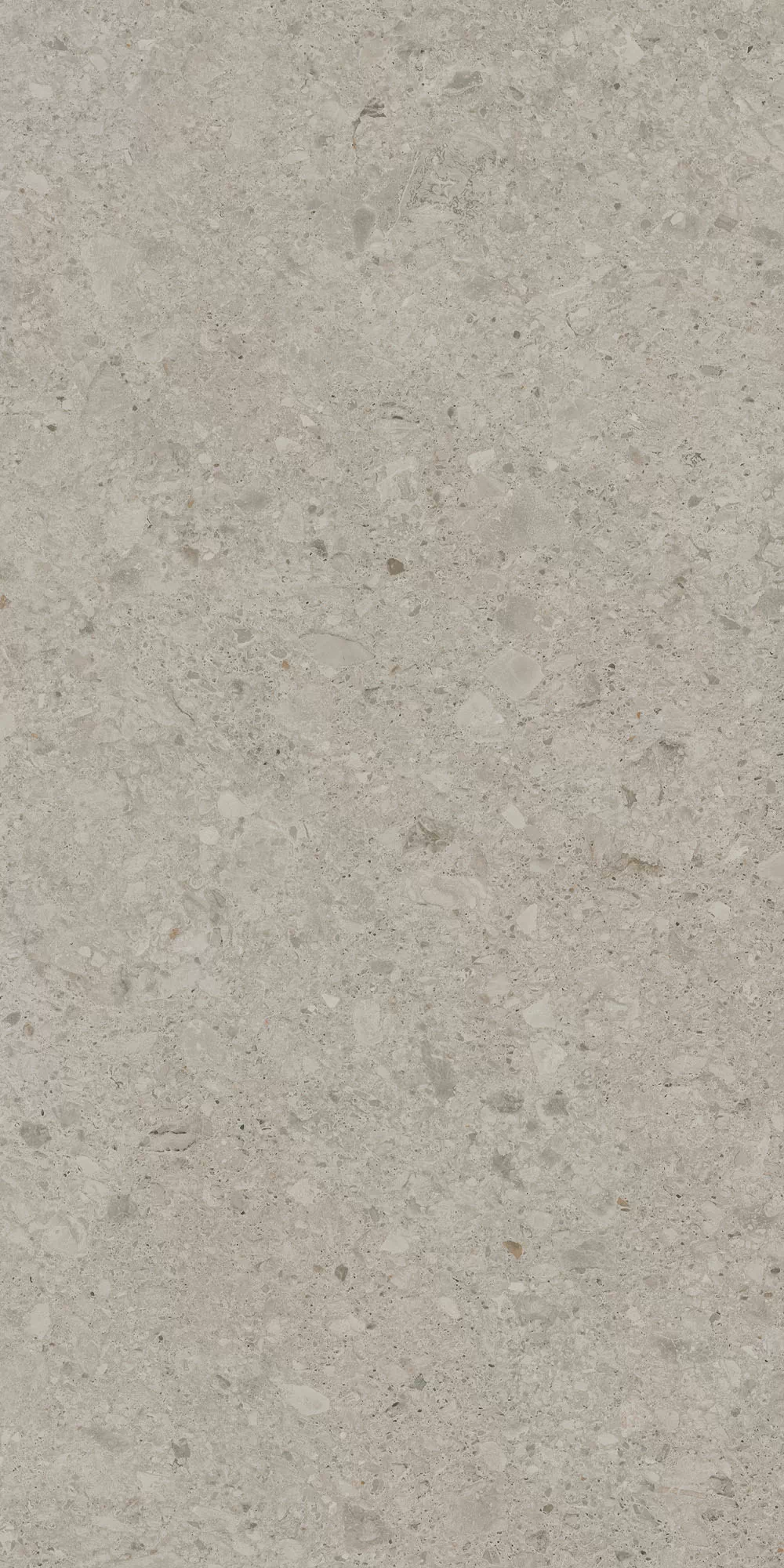 Керамогранит DD591320R Чеппо ди Гре бежевый светлый матовый обрезной 119,5x238,5x0,9