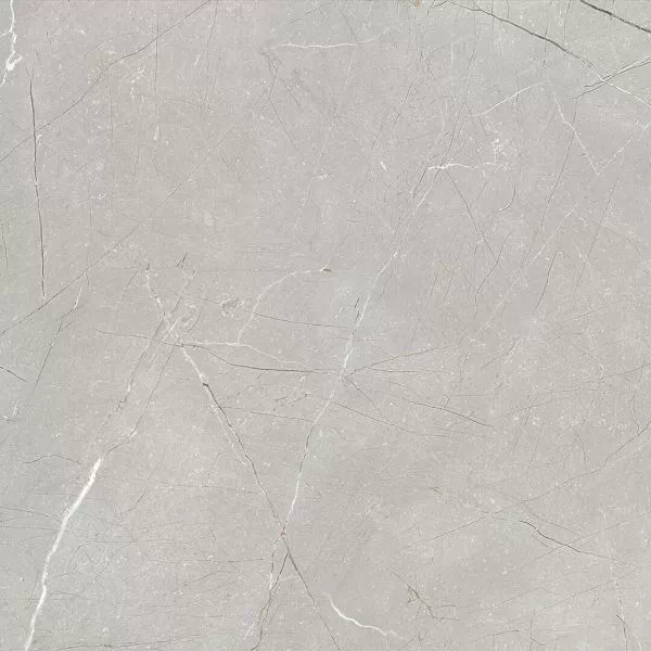 Керамогранит Larice Grey 60x60