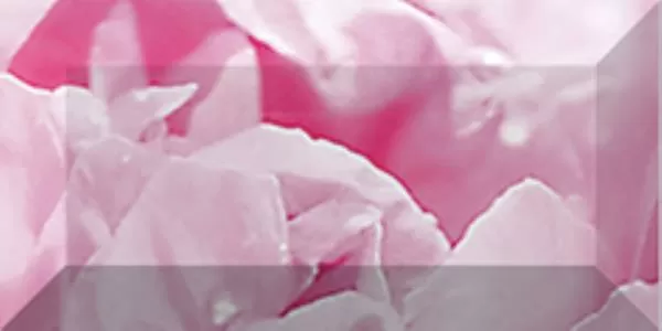 Плитка Бордюр рельефный Peony br1020D281-2 20х10