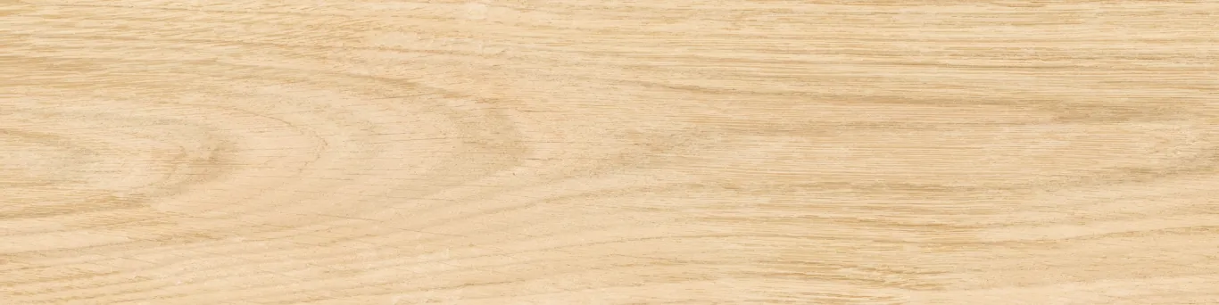 Керамогранит KM1040G0011N Аргания бежевый матовый 9,9x40,2x0,8