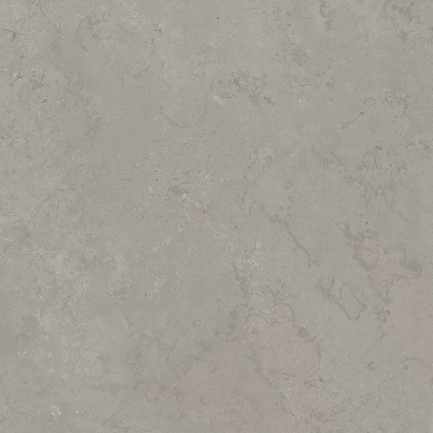 Керамогранит DD640900R Про Лаймстоун серый натуральный обрезной R10 60х60