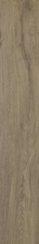 Керамогранит Aveiro Beige Rekt 19.8х119.8