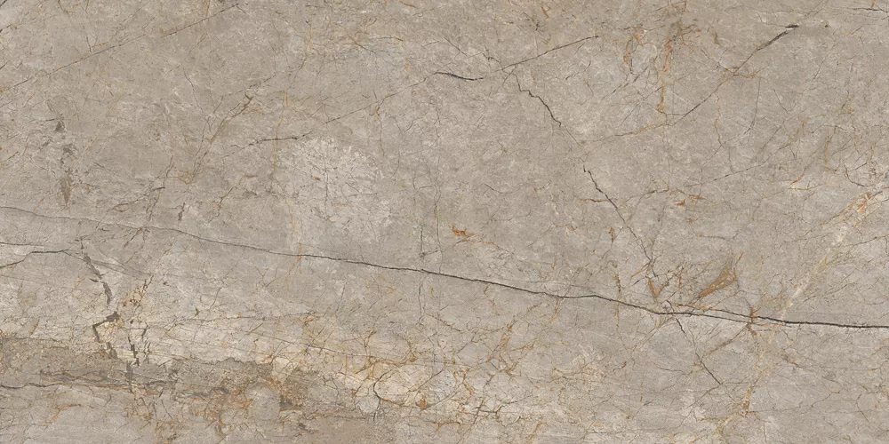 Керамогранит 17124 Silver Roots серый матовый ректификат 60x120