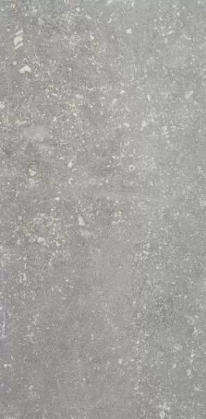 Керамогранит 1076235 Ardenne Grigio 20x40