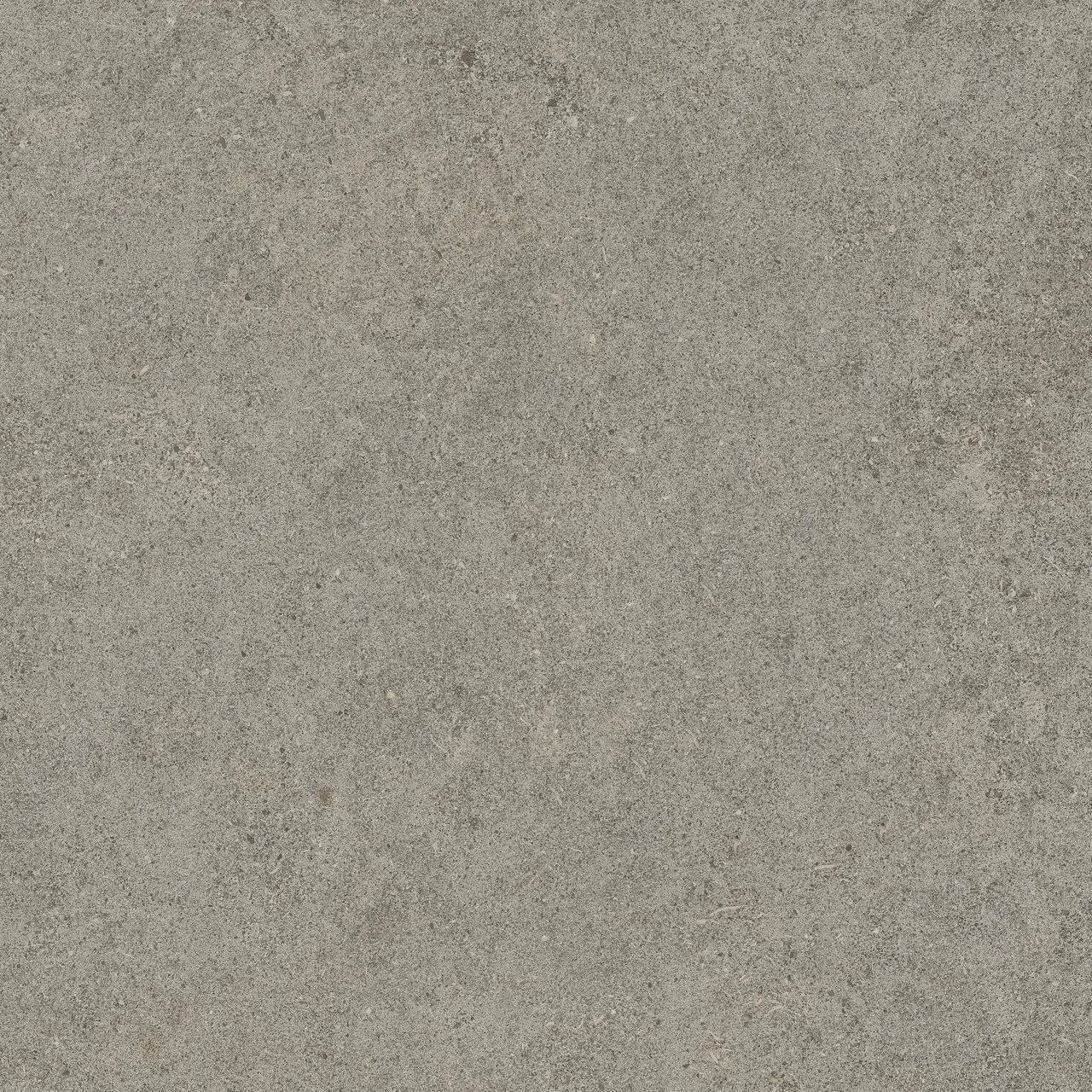 Керамогранит 610010005836 Forte dei Marmi Rock Lunar Grey Lastra 20mm 60x60