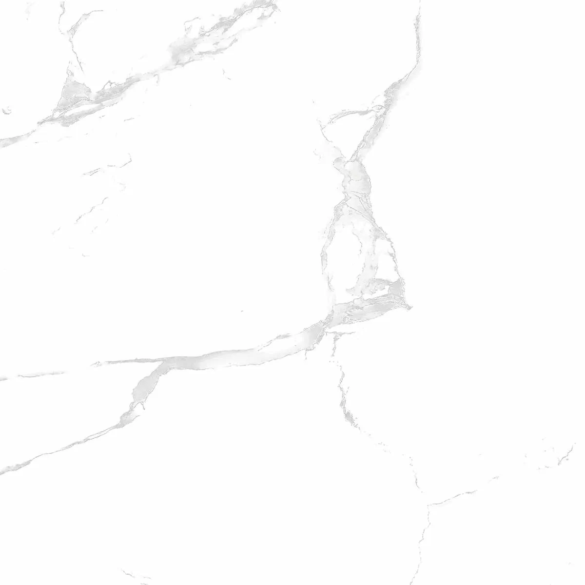 Керамогранит Silver white PGVT 60x60
