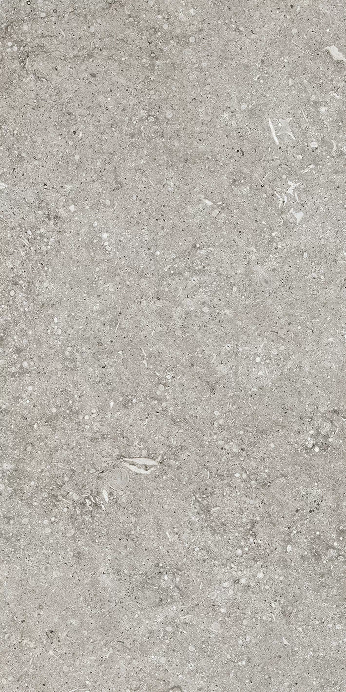 Керамогранит 768343 Sensi Grey Fossil R+PTV Ret 40x80