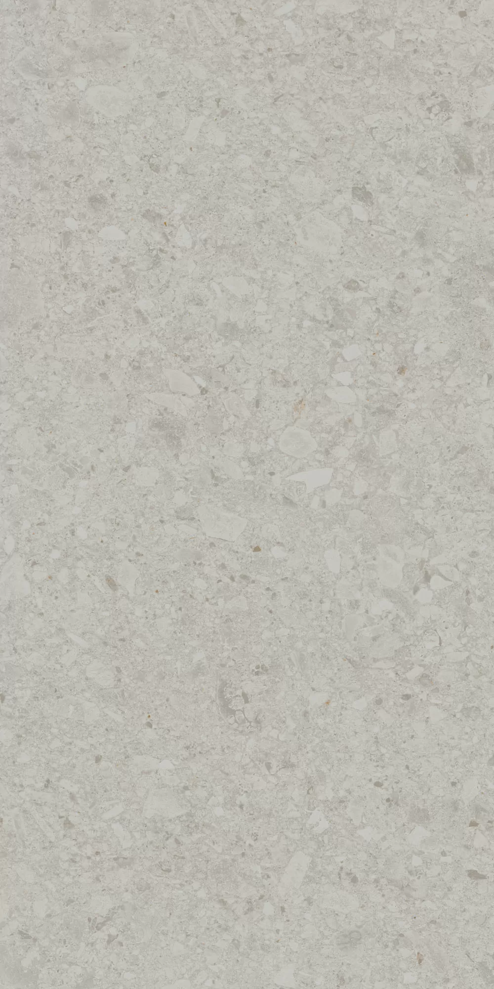 Керамогранит DD591220R Чеппо ди Гре серый светлый матовый обрезной 119,5x238,5x0,9