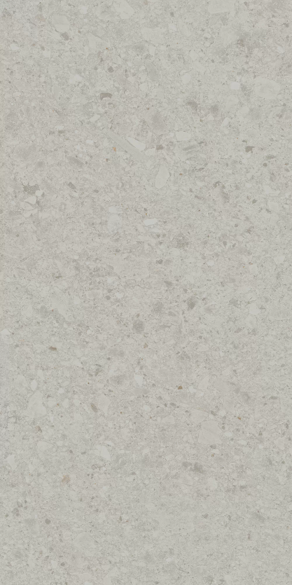 Керамогранит DD591220R Чеппо ди Гре серый светлый матовый обрезной 119,5x238,5x0,9