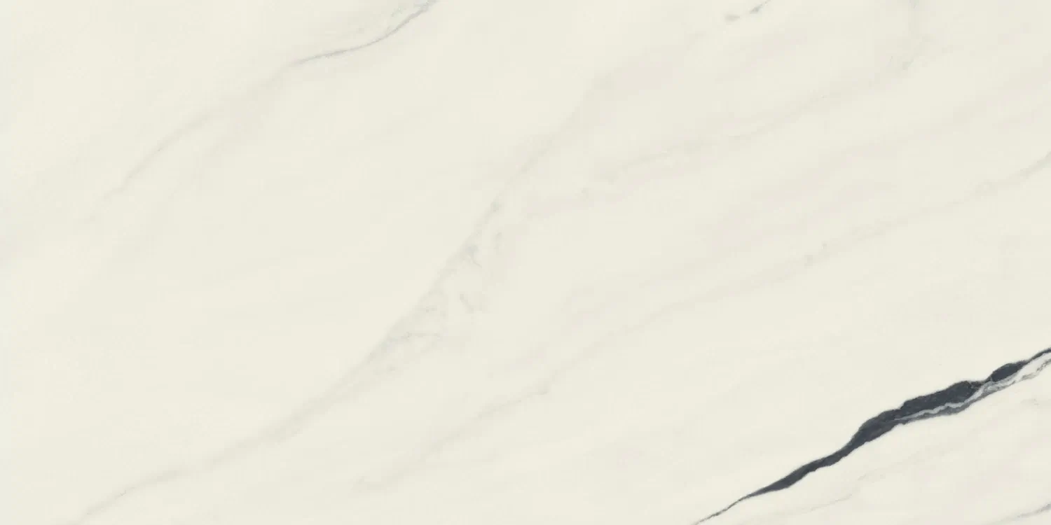 Керамогранит 610015000656 Forte dei Marmi Panda White Rett Cer 60x120