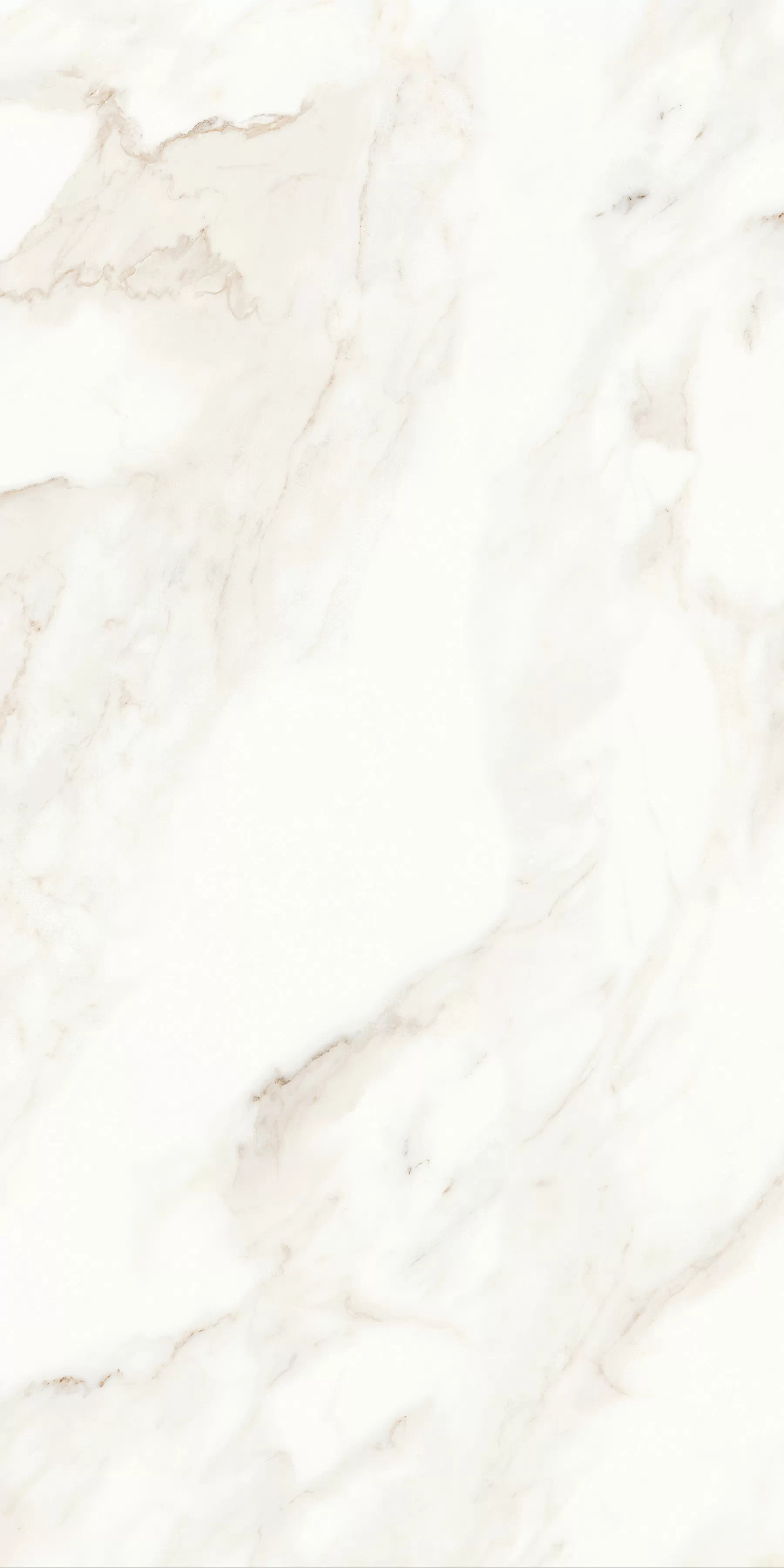 Керамогранит MPL-058623 Calacatta Polished 60x120