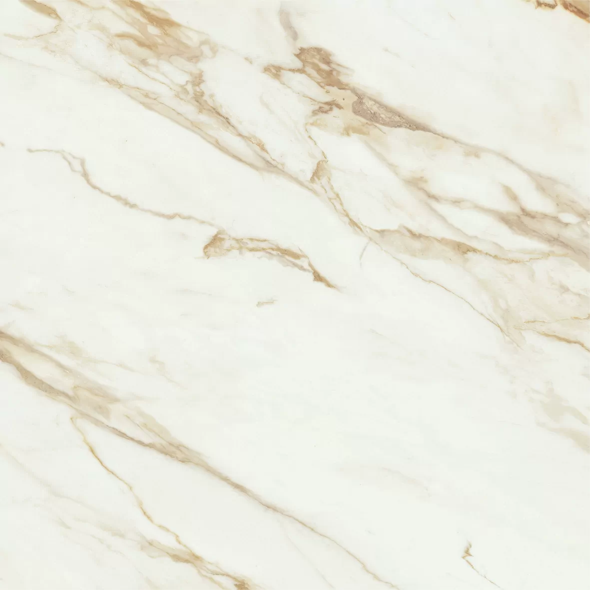 Керамогранит Adaggio Gold Pulido Rectificado 120x120