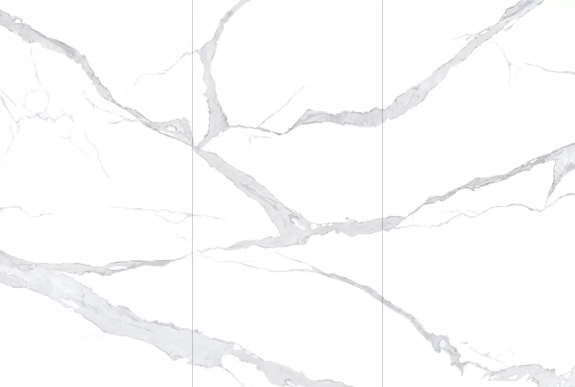 Керамогранит NTT3008P Bianco Statuario 120x240