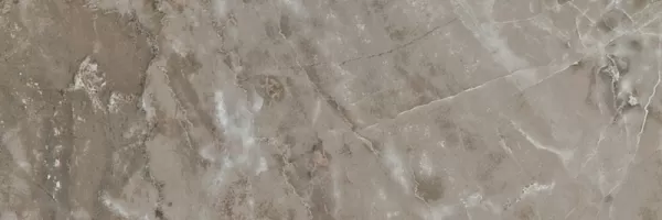 Керамогранит 240036 MARBLE GRIGIO ONICE RETTIFICATO LAPPATO 19,5x58,5