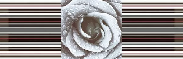 Плитка DECOR ROSE 02 15X45