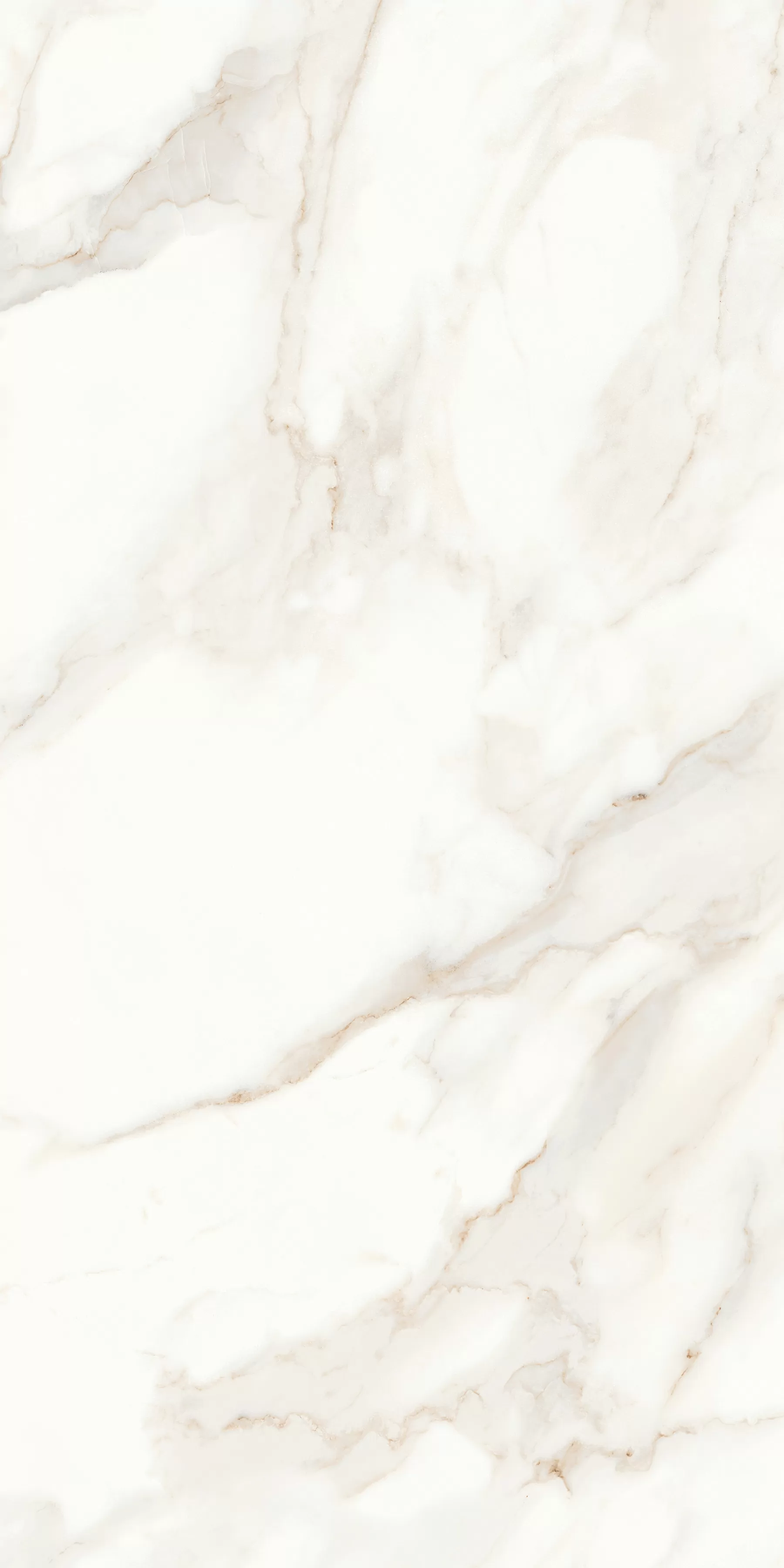 Керамогранит MPL-058622 Calacatta Satin 60x120