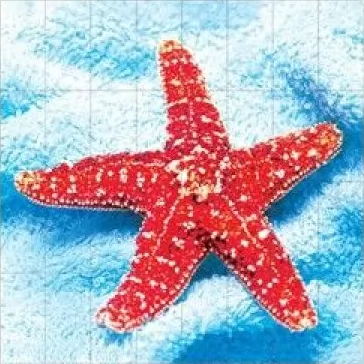 Керамогранит FS030 Fotosera F07 12,5х25 (100x100)